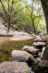 DSCF2310_副本.jpg