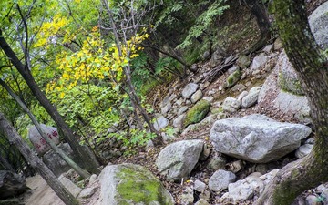 DSCF2291_副本.jpg