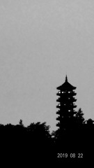 2084326