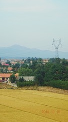 1872245