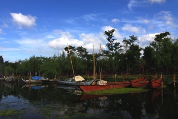 滇池 湿地4.5