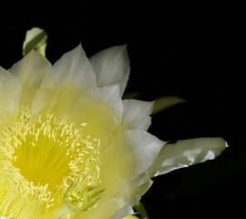 IMG_02951.jpg
