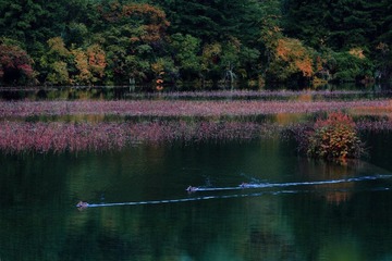 IMG_1253.JPG