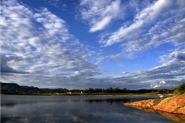 IMG_08121.jpg