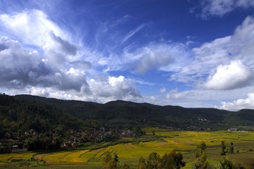 IMG_0645.jpg