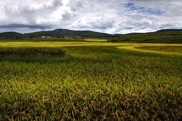 IMG_08061.jpg