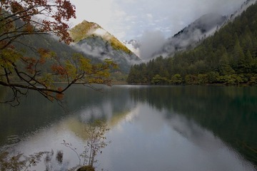 IMG_1299.jpg