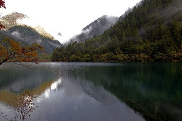 IMG_1301.jpg