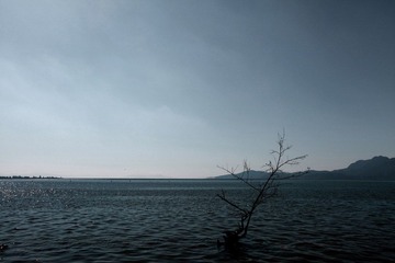 IMG_5049.jpg