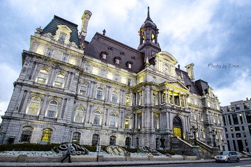 _DSC9951