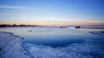 _DSC2447_1