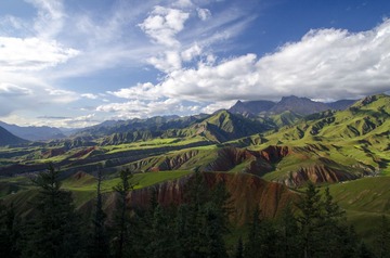 _DSC6594
