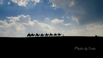 _DSC6073
