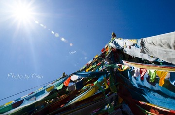 _DSC6404