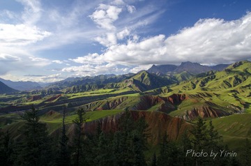_DSC6594