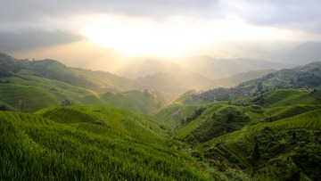 _DSC8792