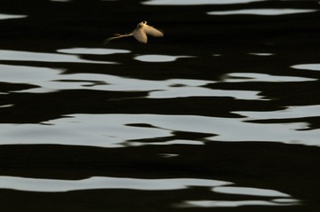_DSC8792
