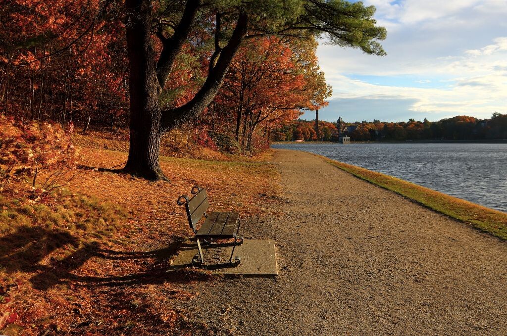 Chestnut Pond. 靠近Boston College,一个天然圆形大池塘,BC学生的大操场,每天傍晚都有很多人来这里跑步。秋天的时候风景美如画