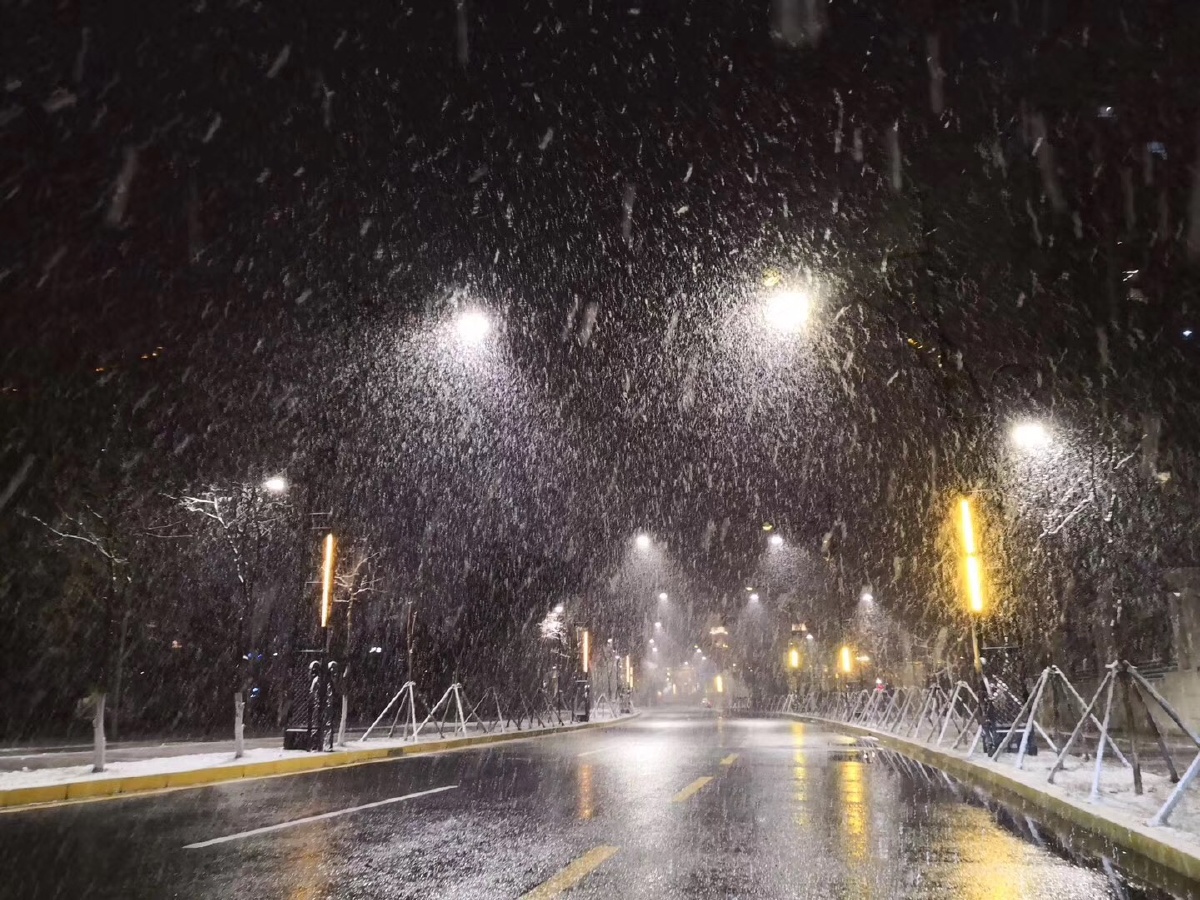 一直特立独行的猪