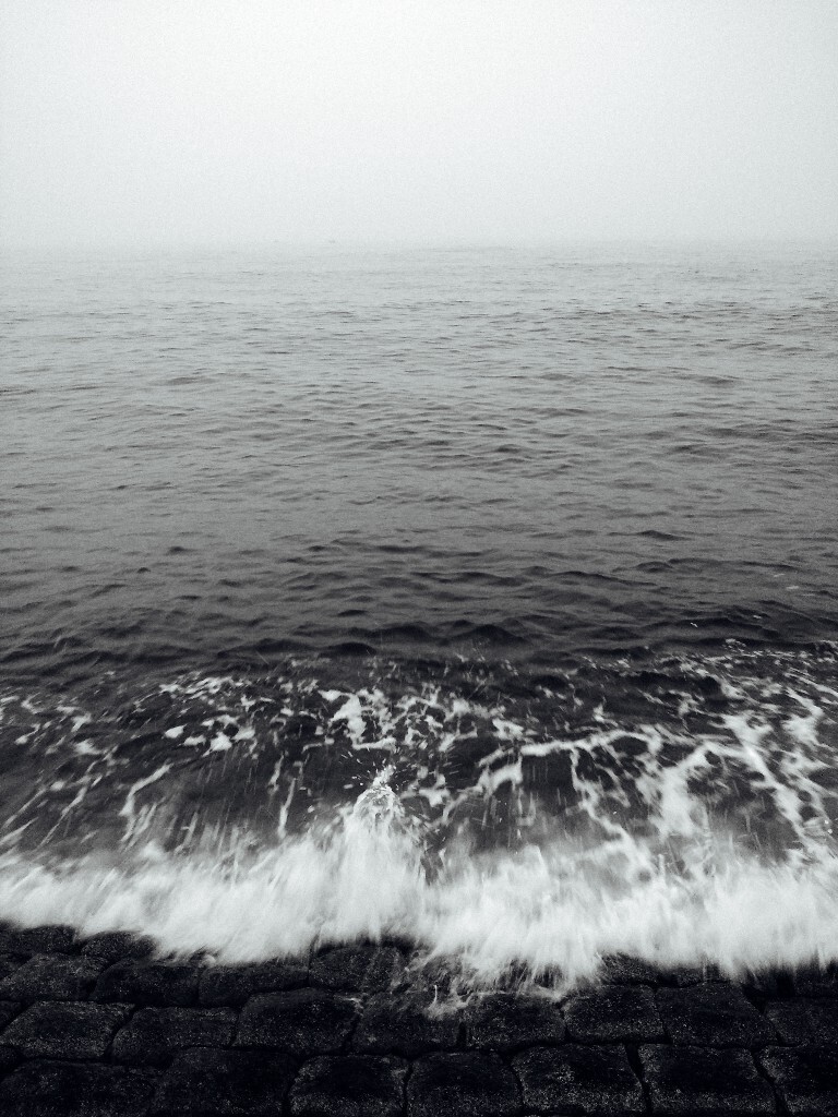 海