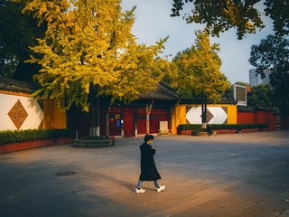 IMG_3840 5000px