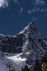 _DSC2206-3000px