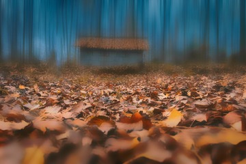_DSC4418-3000px