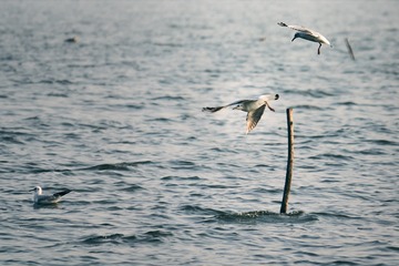 _DSC1282