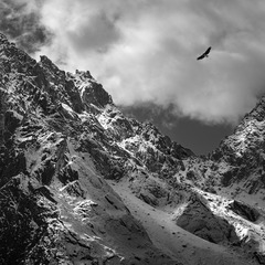 _DSC2207-3000px