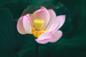 130023