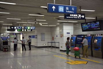 IMGP8732-6