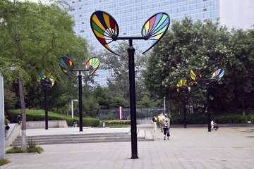 IMGP8778-6