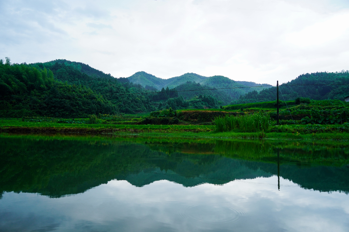 绿水青山就是金山银山