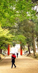 照片 164_副本.jpg
