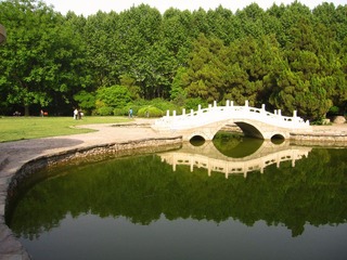 照片 347_副本.jpg