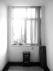 照片 206.jpg
