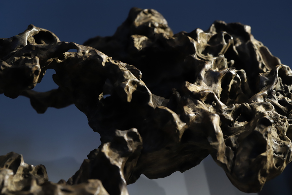 荆条木鹤瑞清友