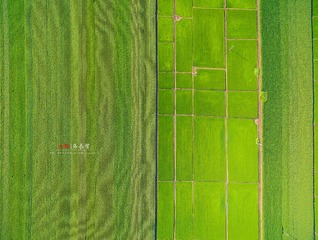 DJI_0157
