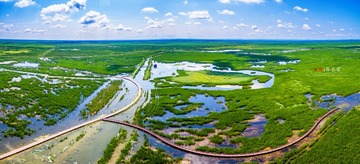 DJI_0187-Pano