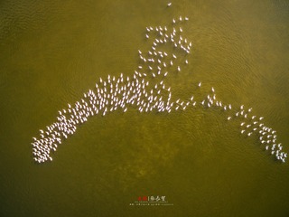 DJI_0554