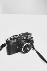 _MG_3787.jpg