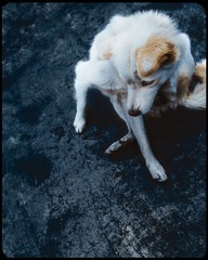 IMG_3070x.jpg