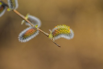 119716