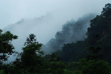 1101031111bcb557943f61ddc0