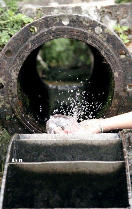 泉水叮咚。<br />
