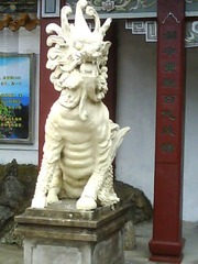 龙