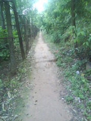 山间小路