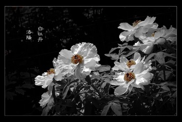 06A7C08C-C980-455A-AFC9-D06108C370F3/L0/001