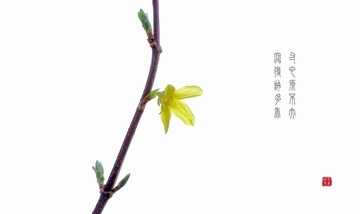 3570CE6B-8D8C-4B04-AB44-F59BB3FB5E62/L0/001