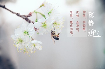 惊蛰3